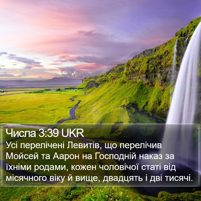 Числа 3:39 UKR Bible Study