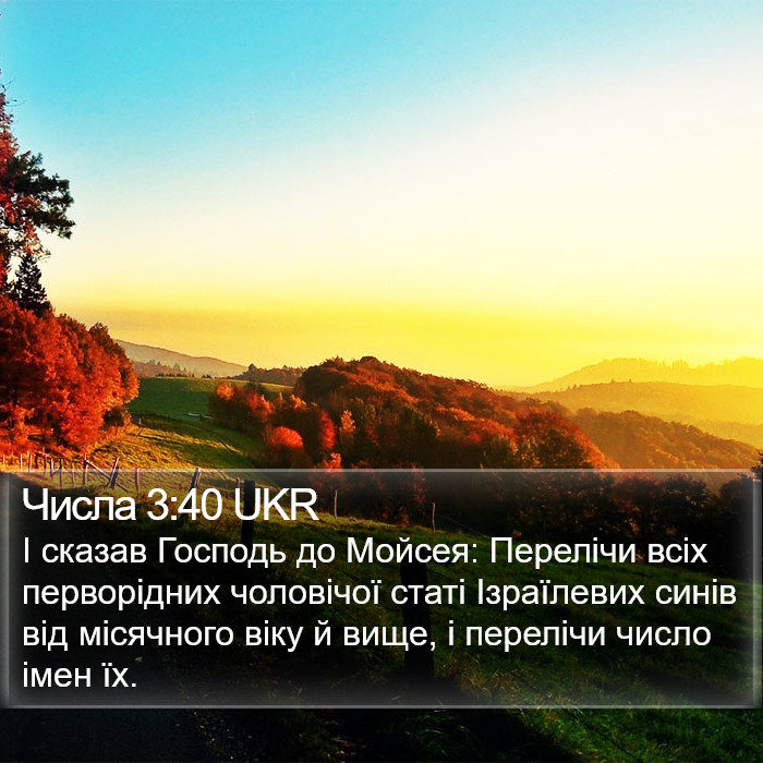 Числа 3:40 UKR Bible Study