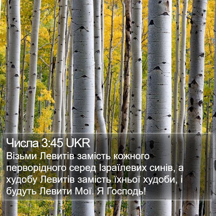 Числа 3:45 UKR Bible Study