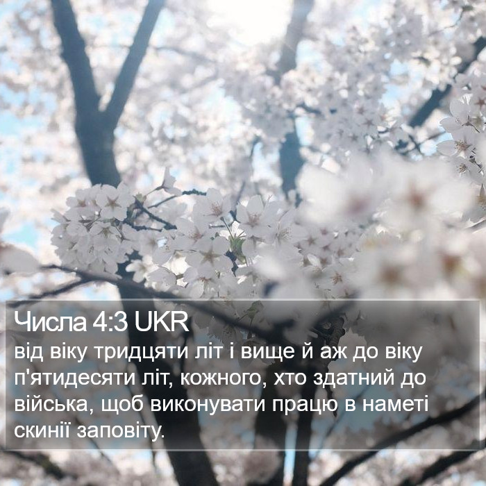 Числа 4:3 UKR Bible Study