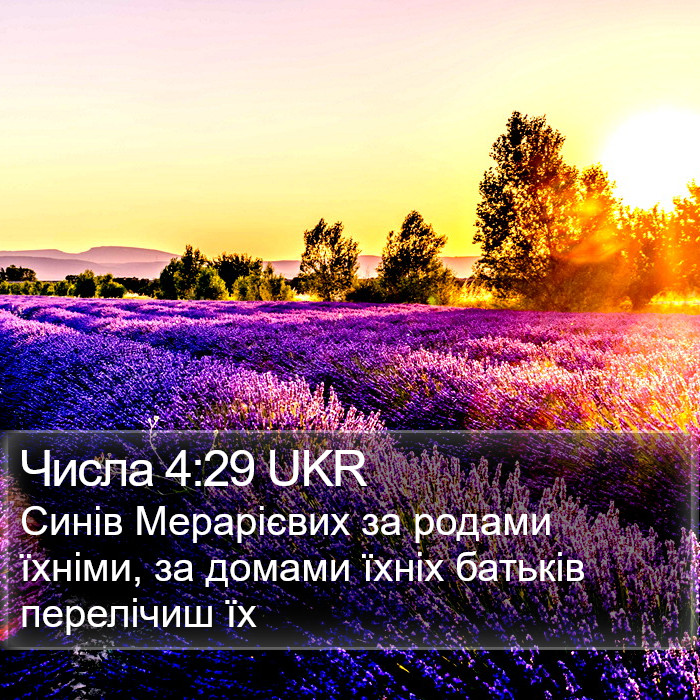 Числа 4:29 UKR Bible Study