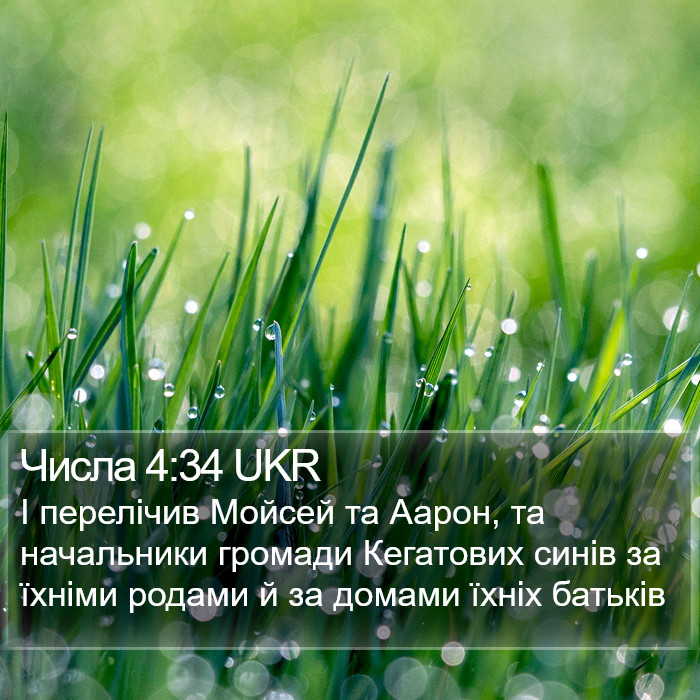 Числа 4:34 UKR Bible Study