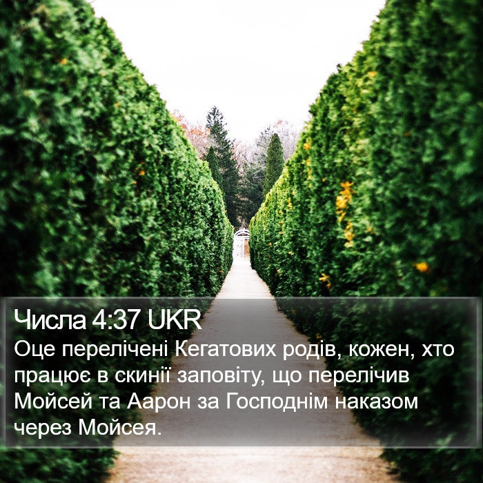 Числа 4:37 UKR Bible Study