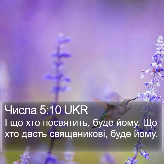 Числа 5:10 UKR Bible Study