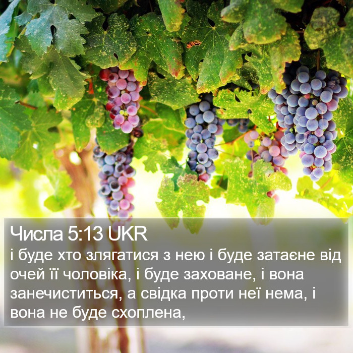 Числа 5:13 UKR Bible Study