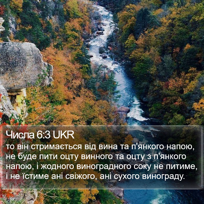 Числа 6:3 UKR Bible Study