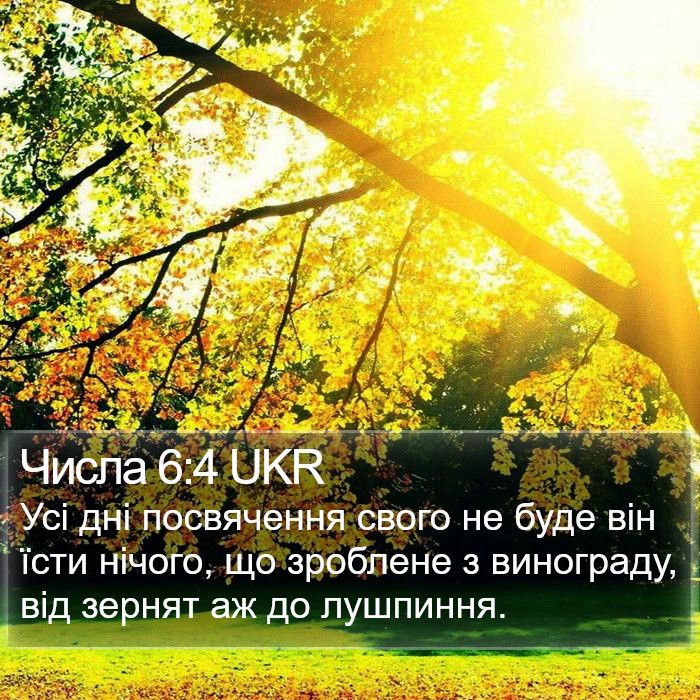 Числа 6:4 UKR Bible Study