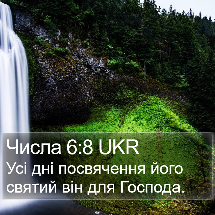 Числа 6:8 UKR Bible Study