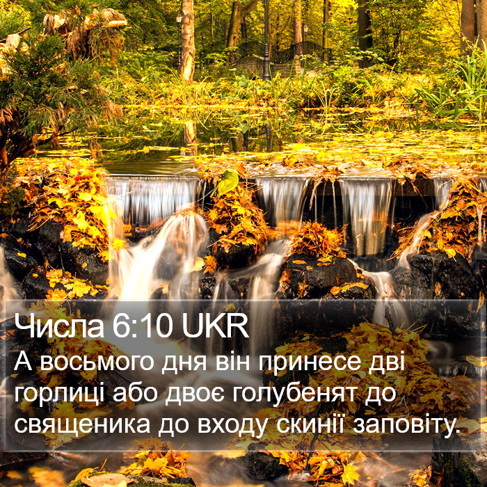 Числа 6:10 UKR Bible Study