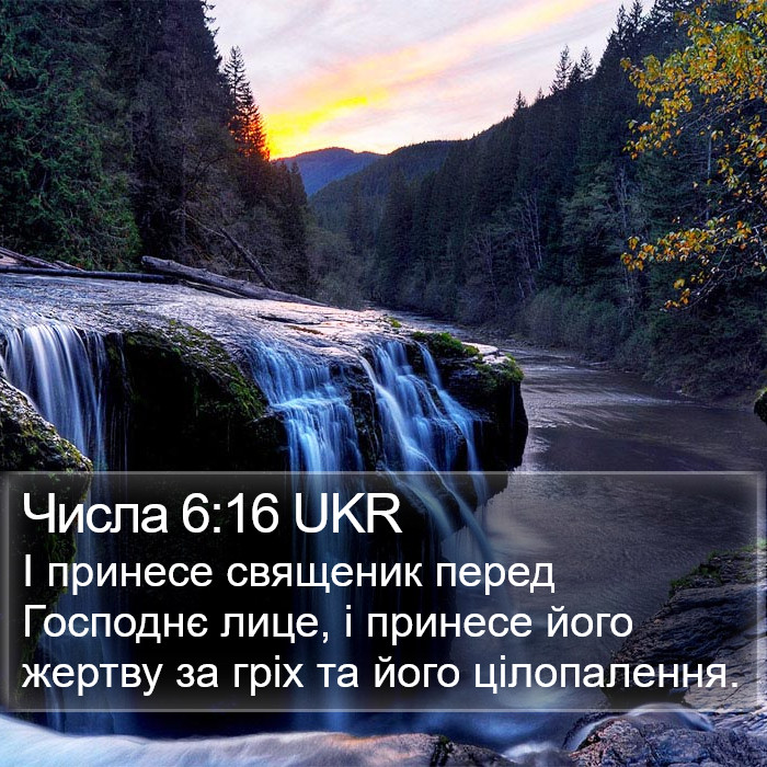 Числа 6:16 UKR Bible Study