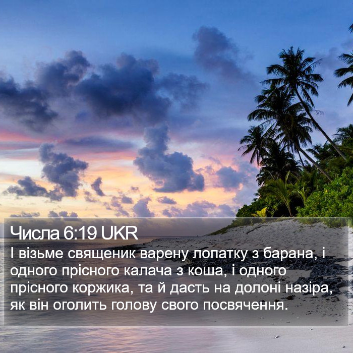 Числа 6:19 UKR Bible Study