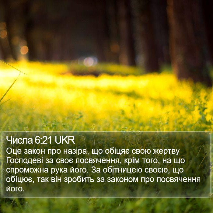 Числа 6:21 UKR Bible Study