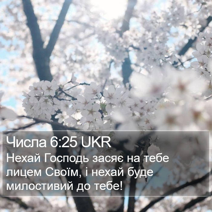 Числа 6:25 UKR Bible Study