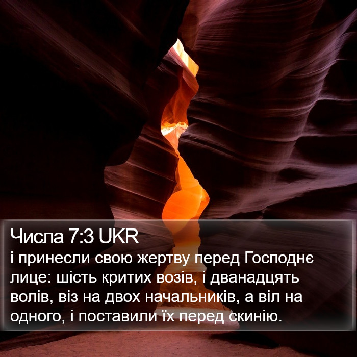 Числа 7:3 UKR Bible Study