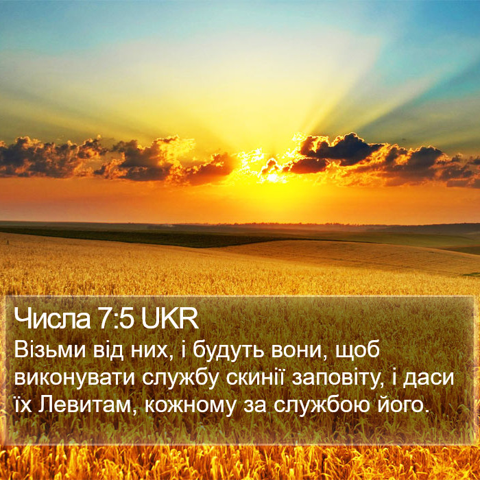 Числа 7:5 UKR Bible Study