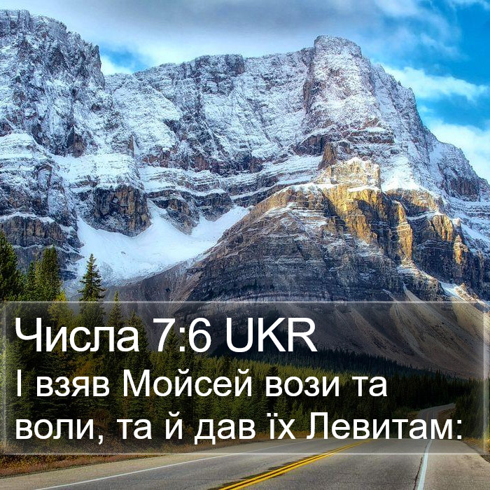 Числа 7:6 UKR Bible Study