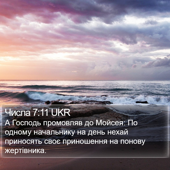 Числа 7:11 UKR Bible Study