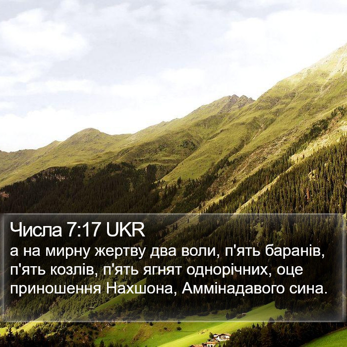 Числа 7:17 UKR Bible Study