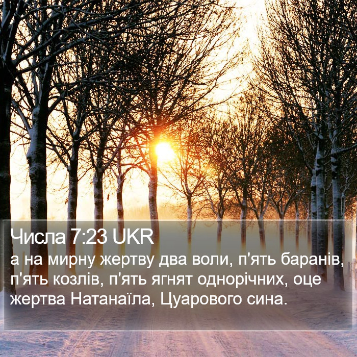 Числа 7:23 UKR Bible Study