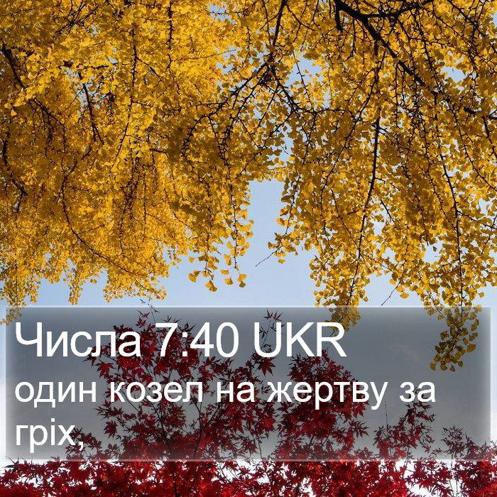 Числа 7:40 UKR Bible Study