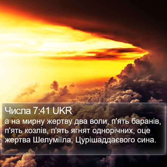 Числа 7:41 UKR Bible Study