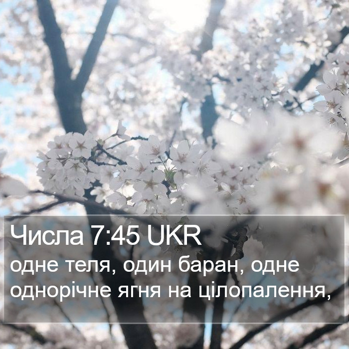 Числа 7:45 UKR Bible Study