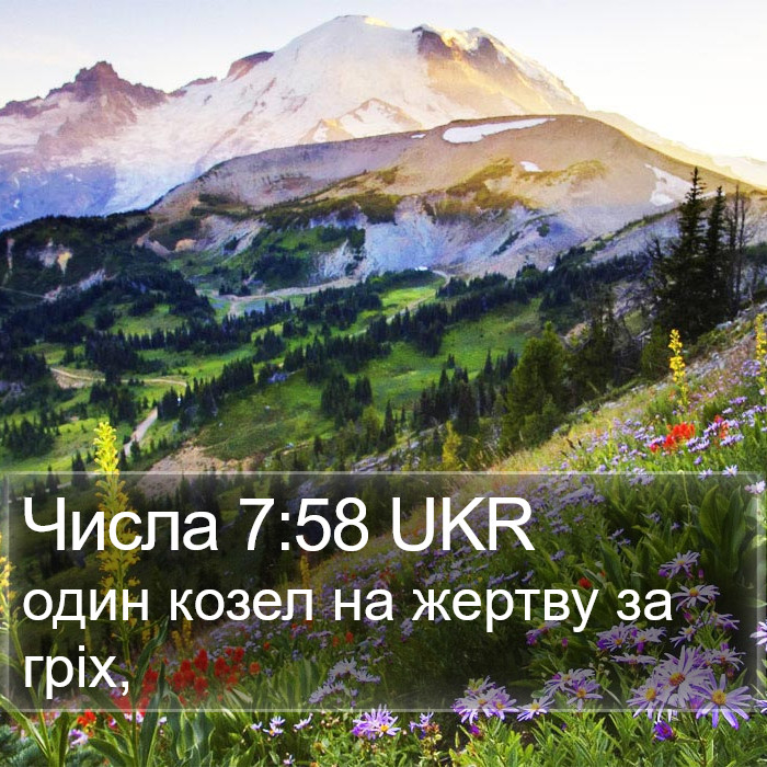 Числа 7:58 UKR Bible Study