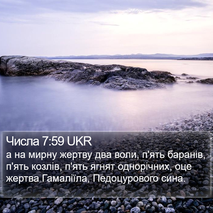 Числа 7:59 UKR Bible Study