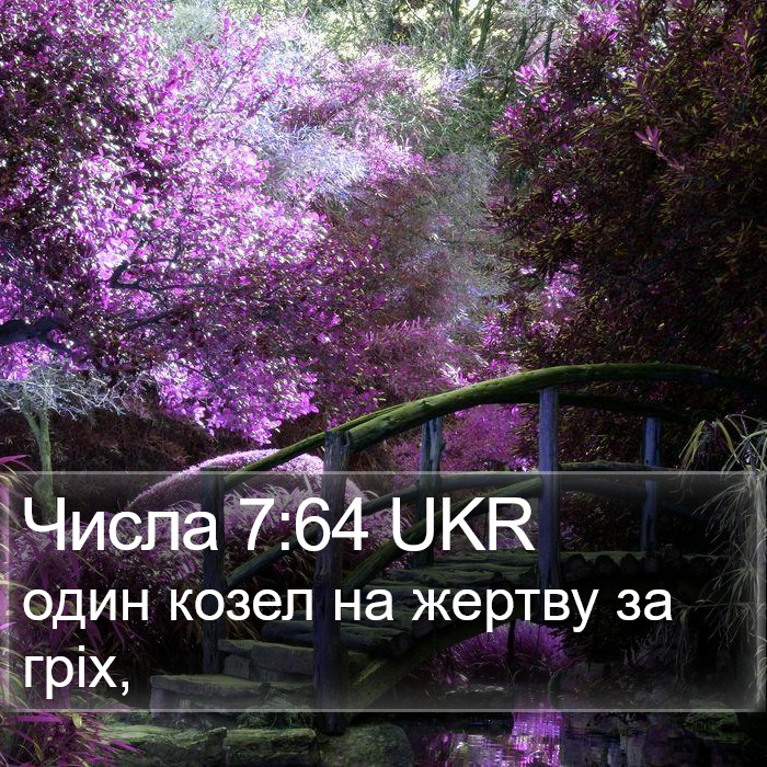 Числа 7:64 UKR Bible Study