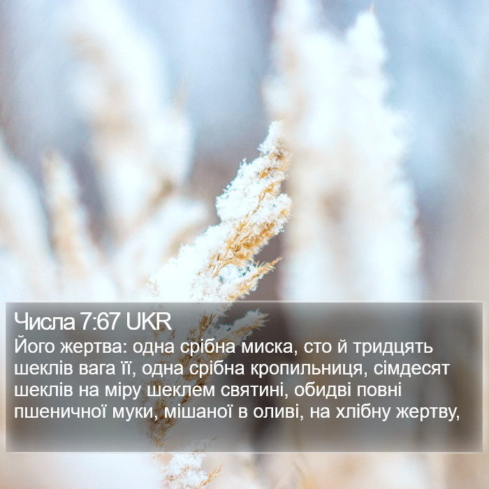 Числа 7:67 UKR Bible Study