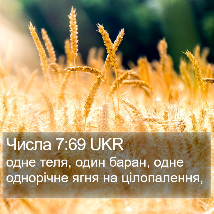 Числа 7:69 UKR Bible Study