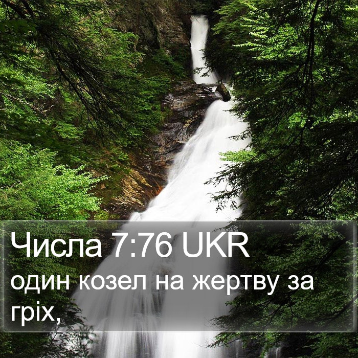 Числа 7:76 UKR Bible Study