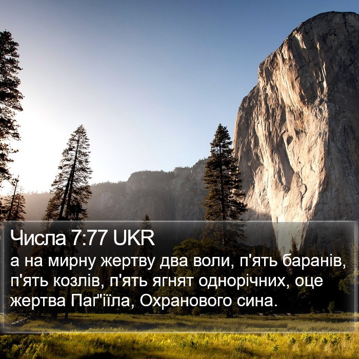 Числа 7:77 UKR Bible Study