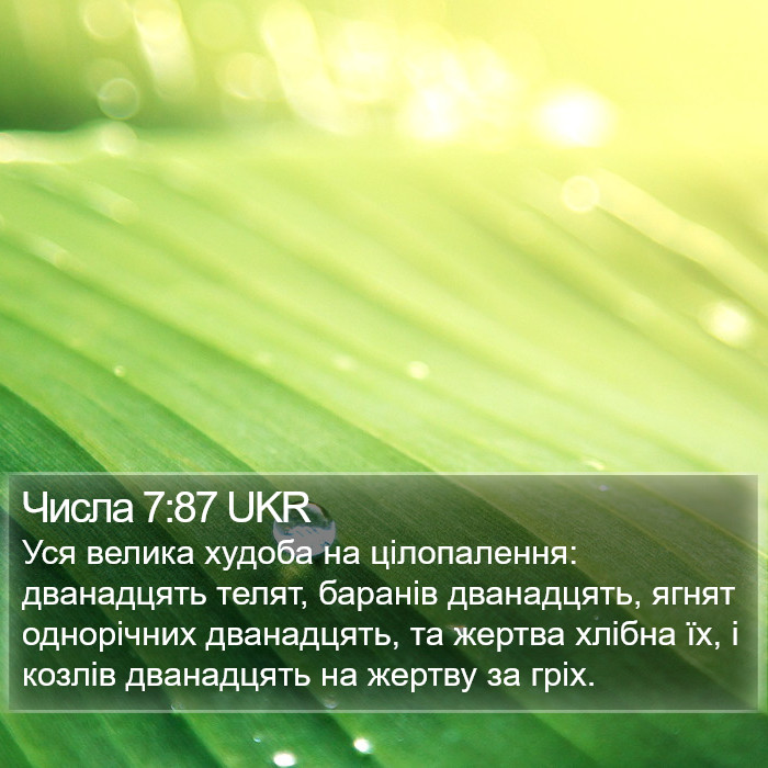 Числа 7:87 UKR Bible Study