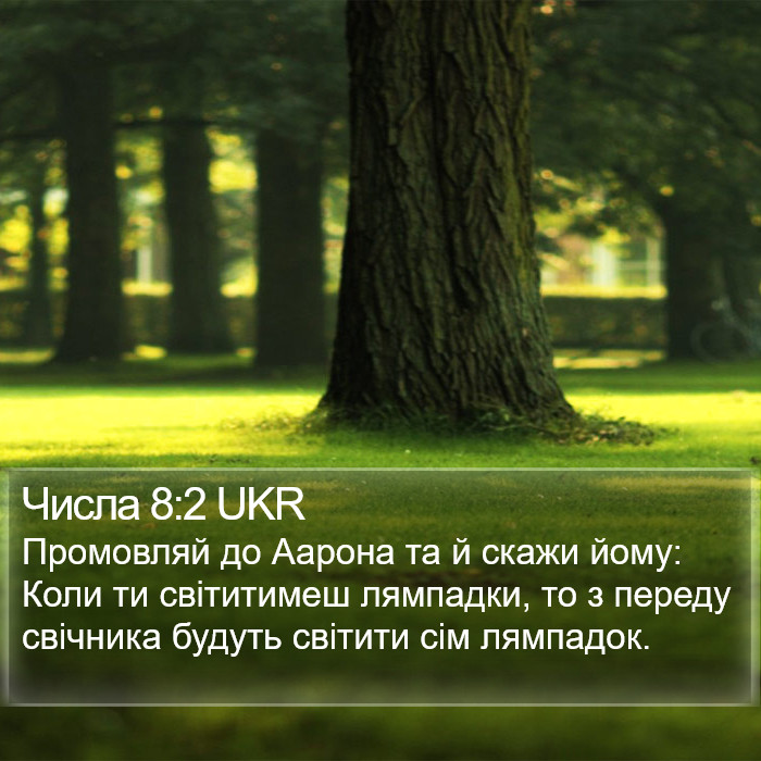 Числа 8:2 UKR Bible Study