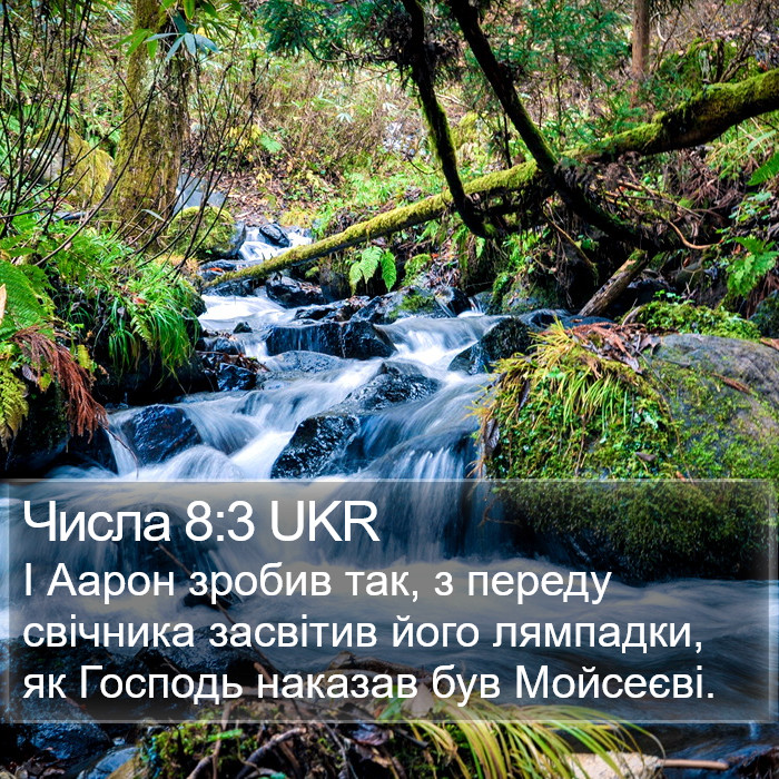 Числа 8:3 UKR Bible Study