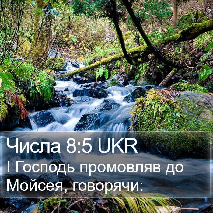 Числа 8:5 UKR Bible Study