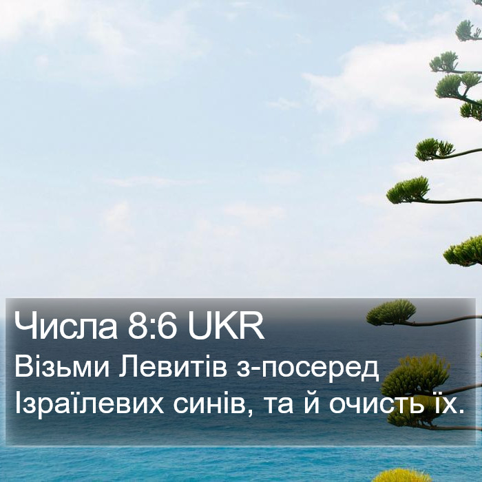 Числа 8:6 UKR Bible Study