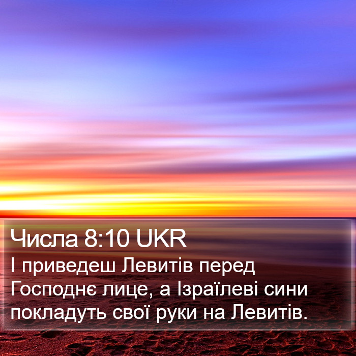 Числа 8:10 UKR Bible Study