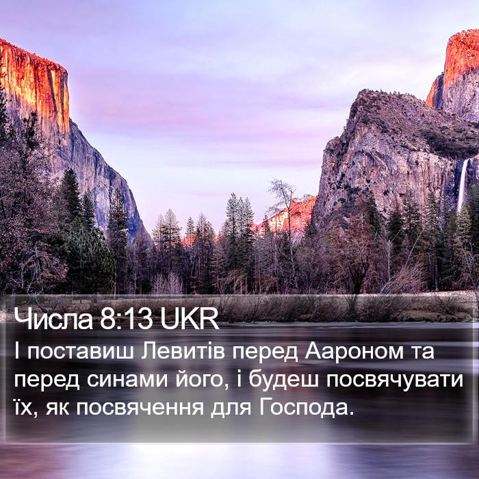 Числа 8:13 UKR Bible Study