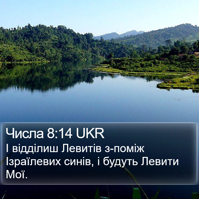 Числа 8:14 UKR Bible Study