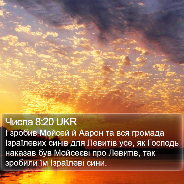 Числа 8:20 UKR Bible Study