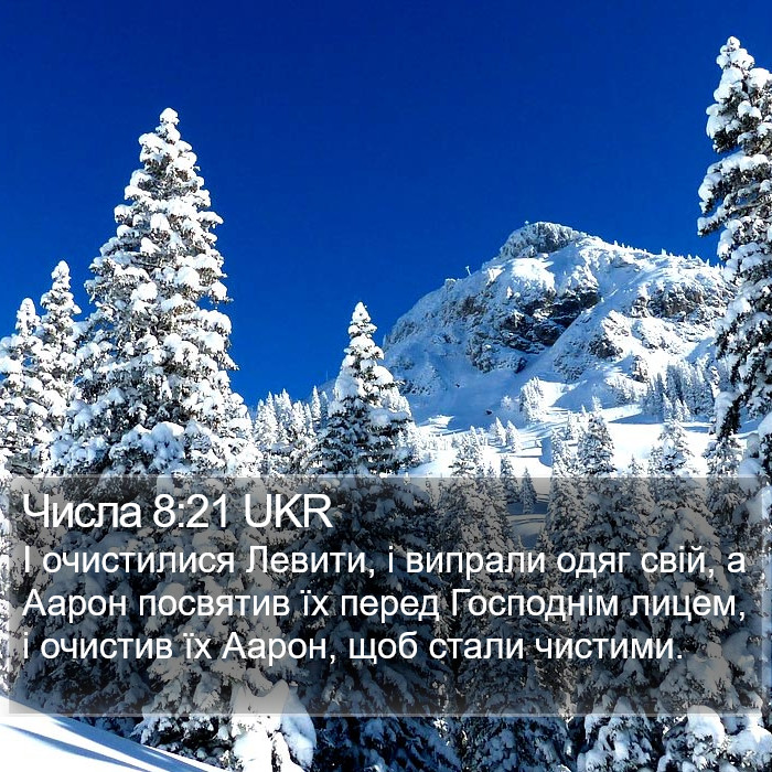 Числа 8:21 UKR Bible Study