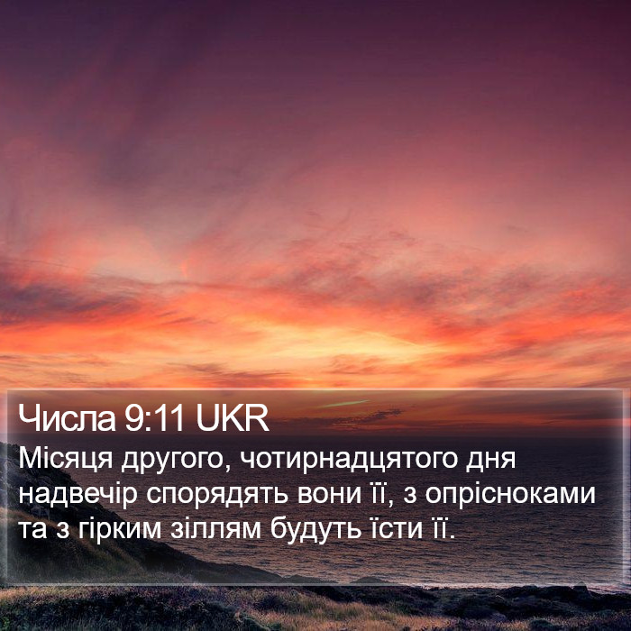 Числа 9:11 UKR Bible Study