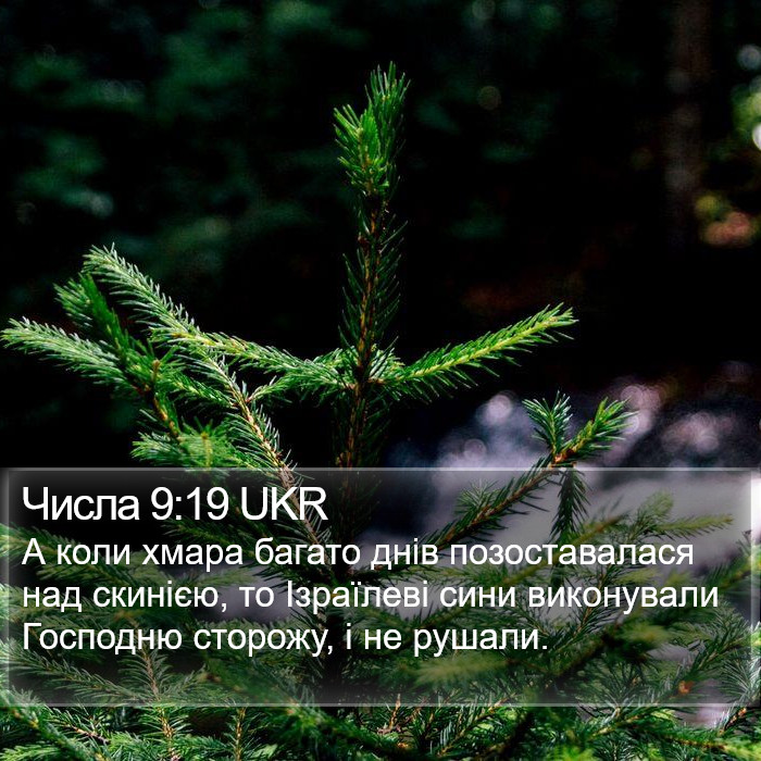 Числа 9:19 UKR Bible Study