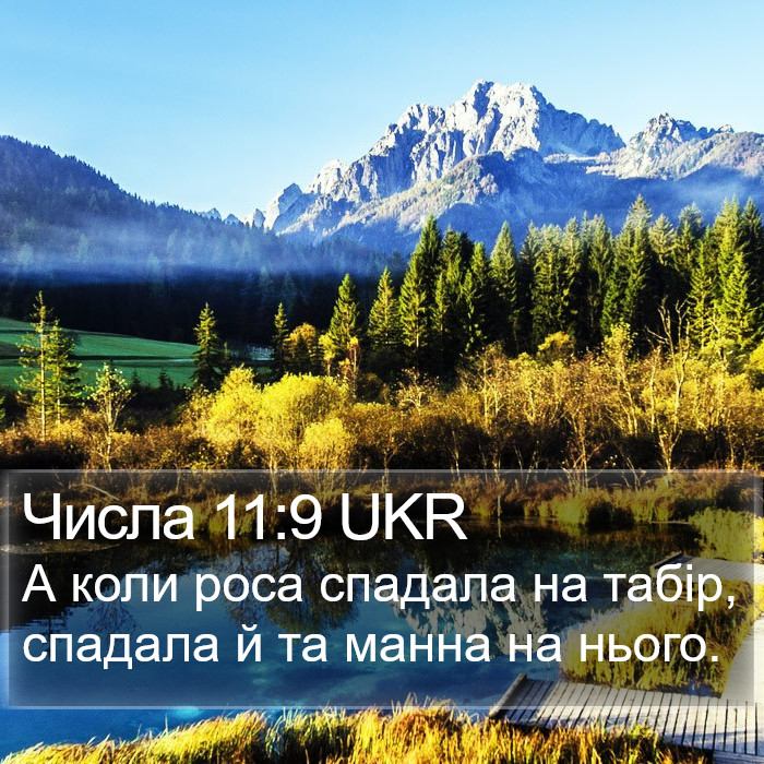 Числа 11:9 UKR Bible Study