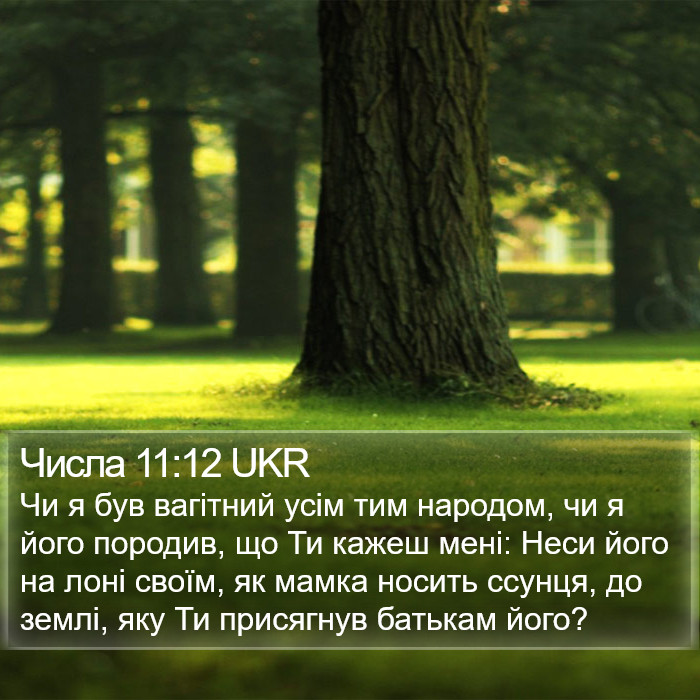 Числа 11:12 UKR Bible Study