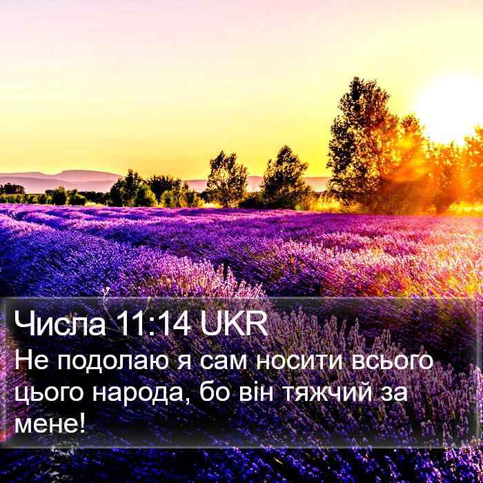 Числа 11:14 UKR Bible Study