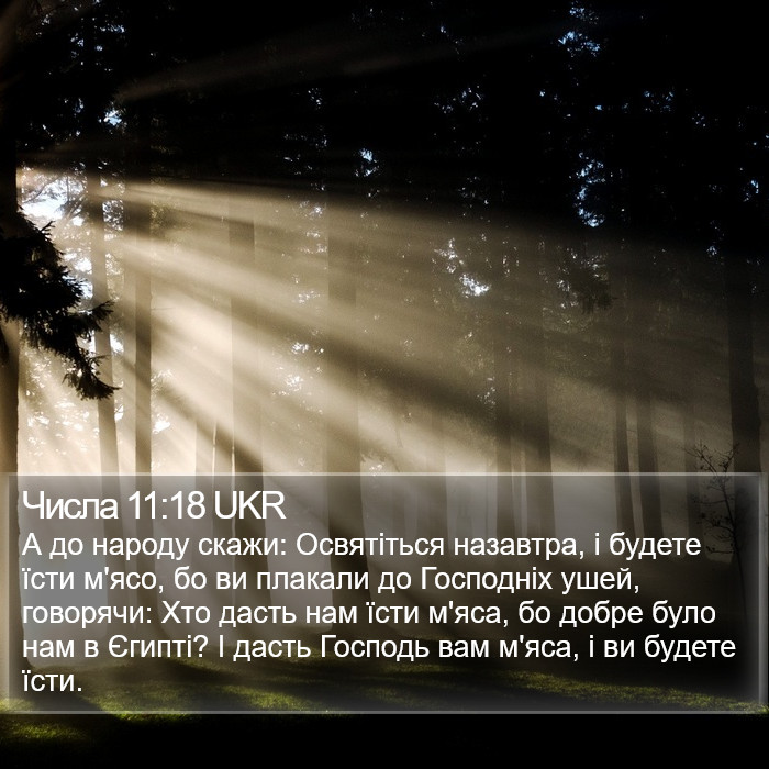 Числа 11:18 UKR Bible Study