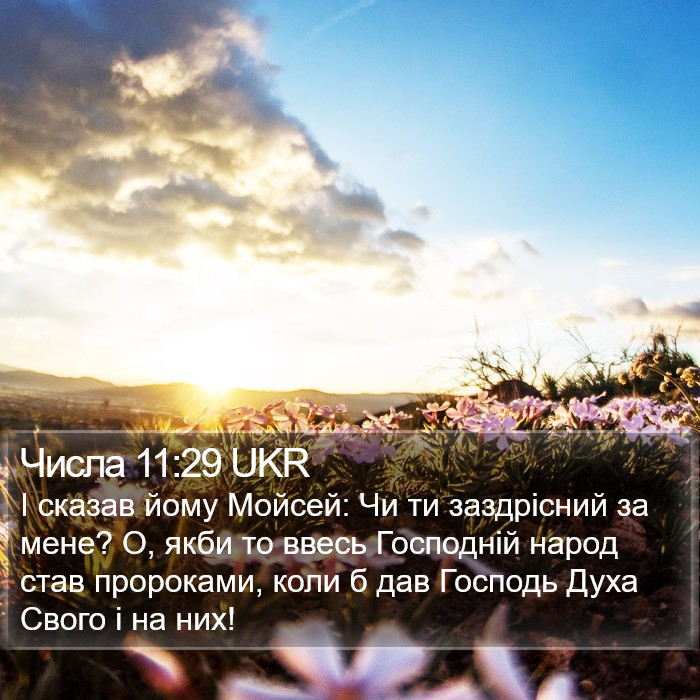 Числа 11:29 UKR Bible Study